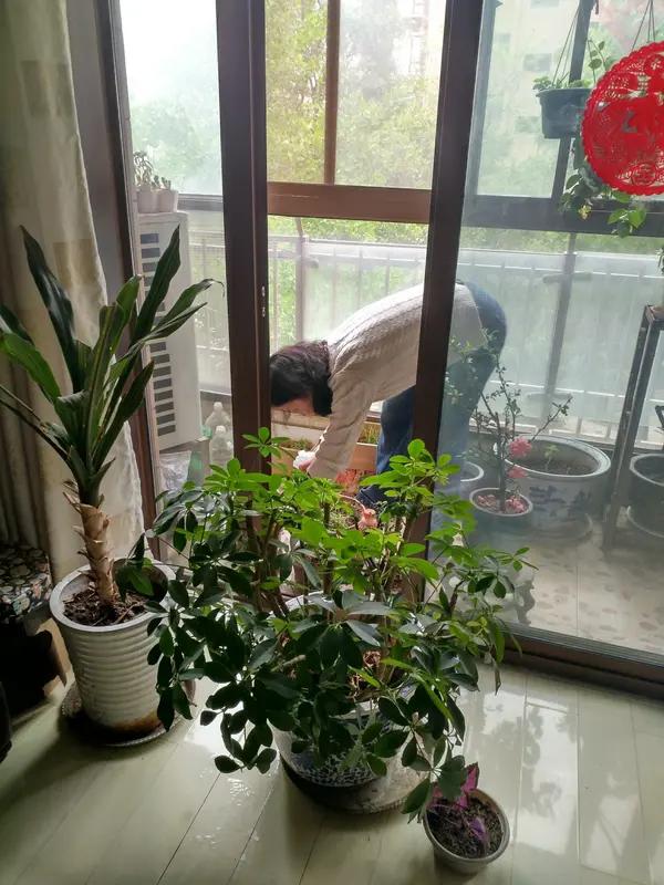 安徽合肥的程女士在打扫阳台卫生时，突然，一个带着火星的烟头像一颗“迷你火流星”从