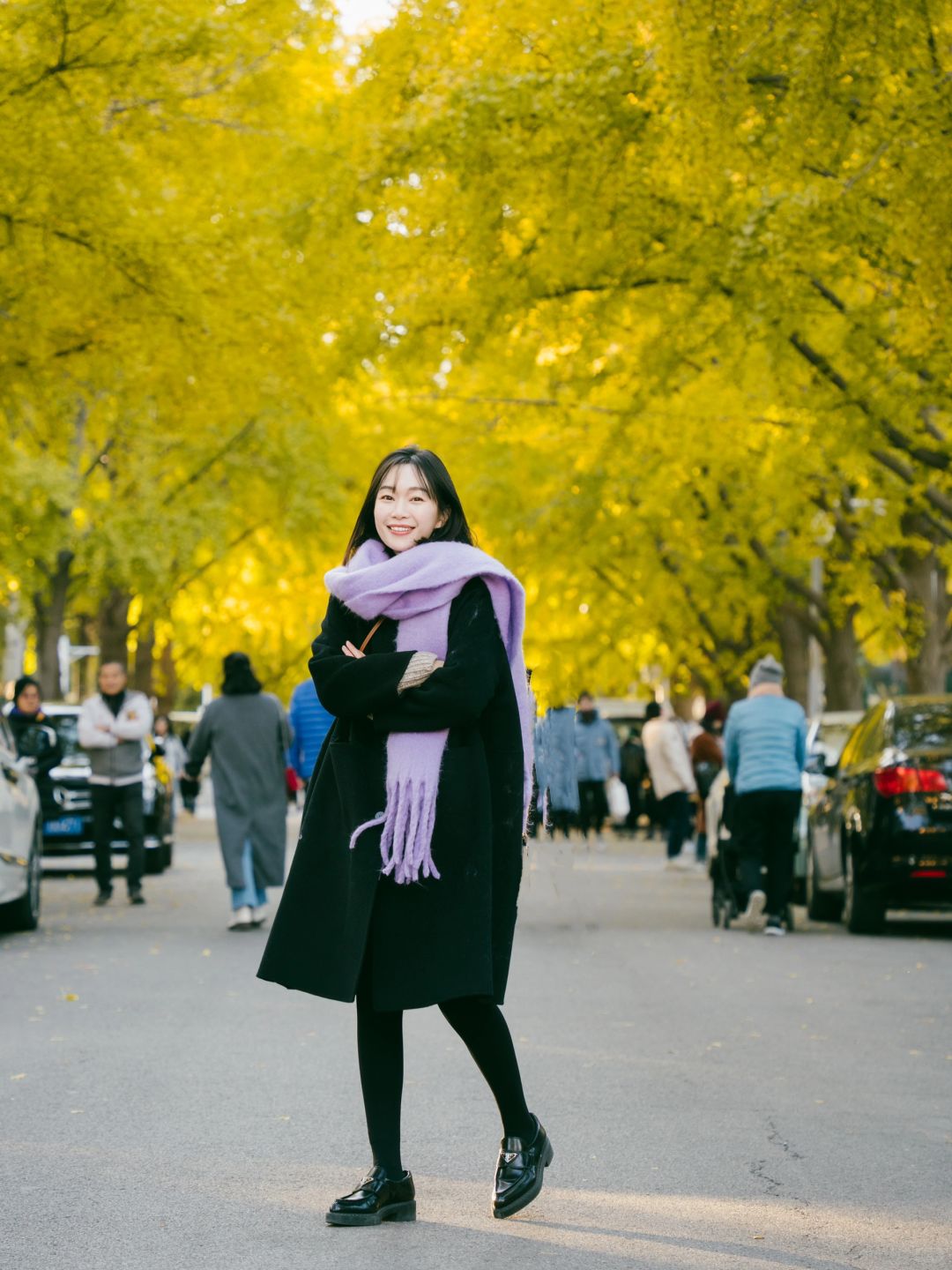 北京赏秋🍂共赴一场紫禁城的银杏之约