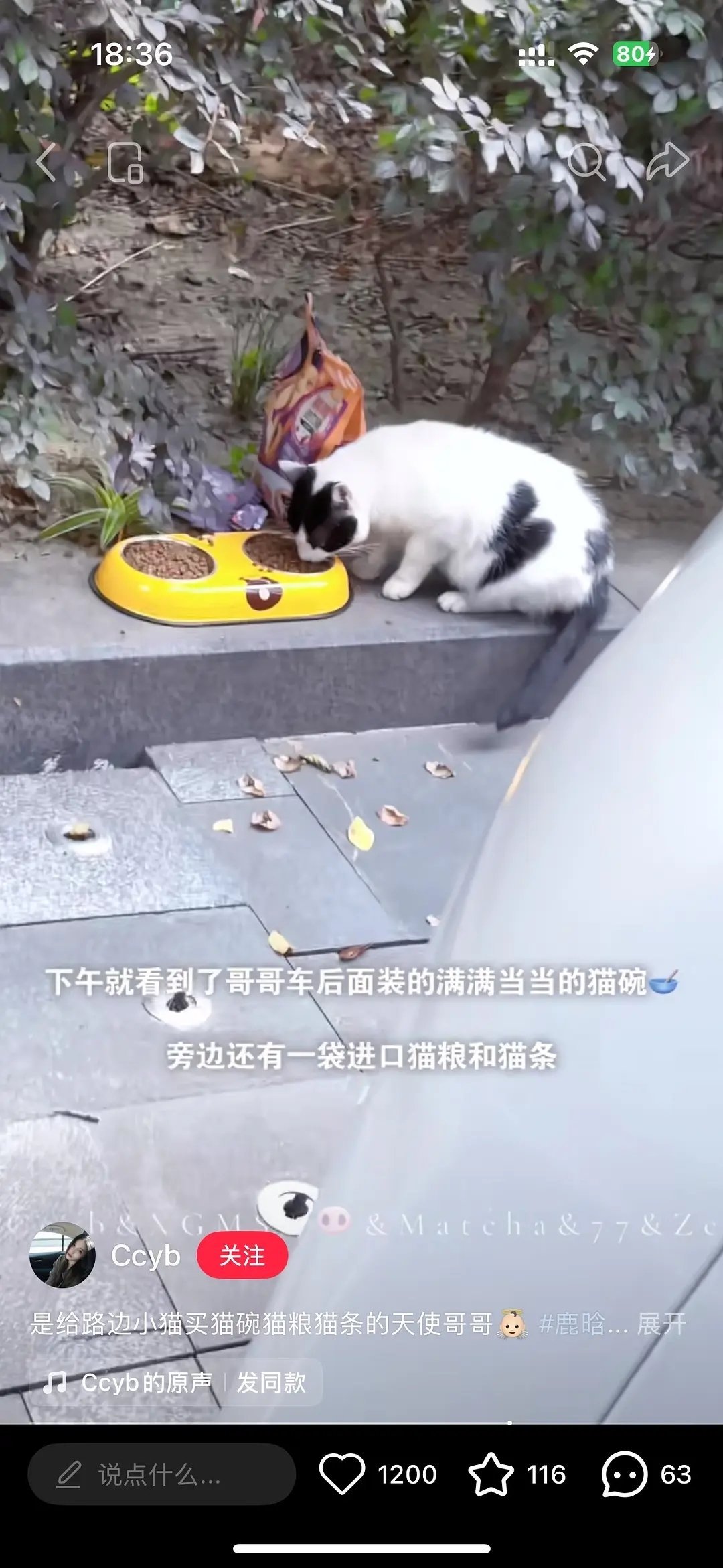鹿晗给流浪猫买猫碗和猫粮 刷到鹿晗给遇到的流浪猫买了猫碗和猫粮，他好喜欢猫猫啊！