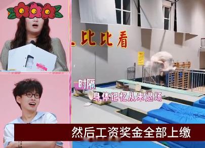张家齐职业生涯总收入约150万到200万 22岁退役，15年跳水生涯，总收入估算