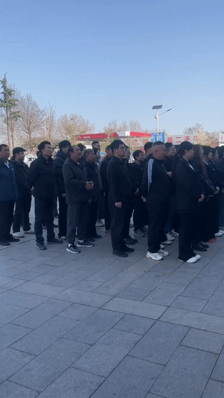 领导正在给员工开会。
站在最前面的一只流浪狗却意外抢镜？
它和大家一样非常认真的