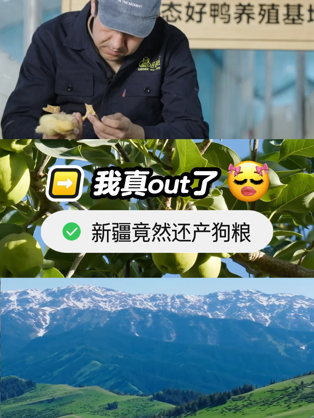 我真out了 新疆竟然还产狗粮