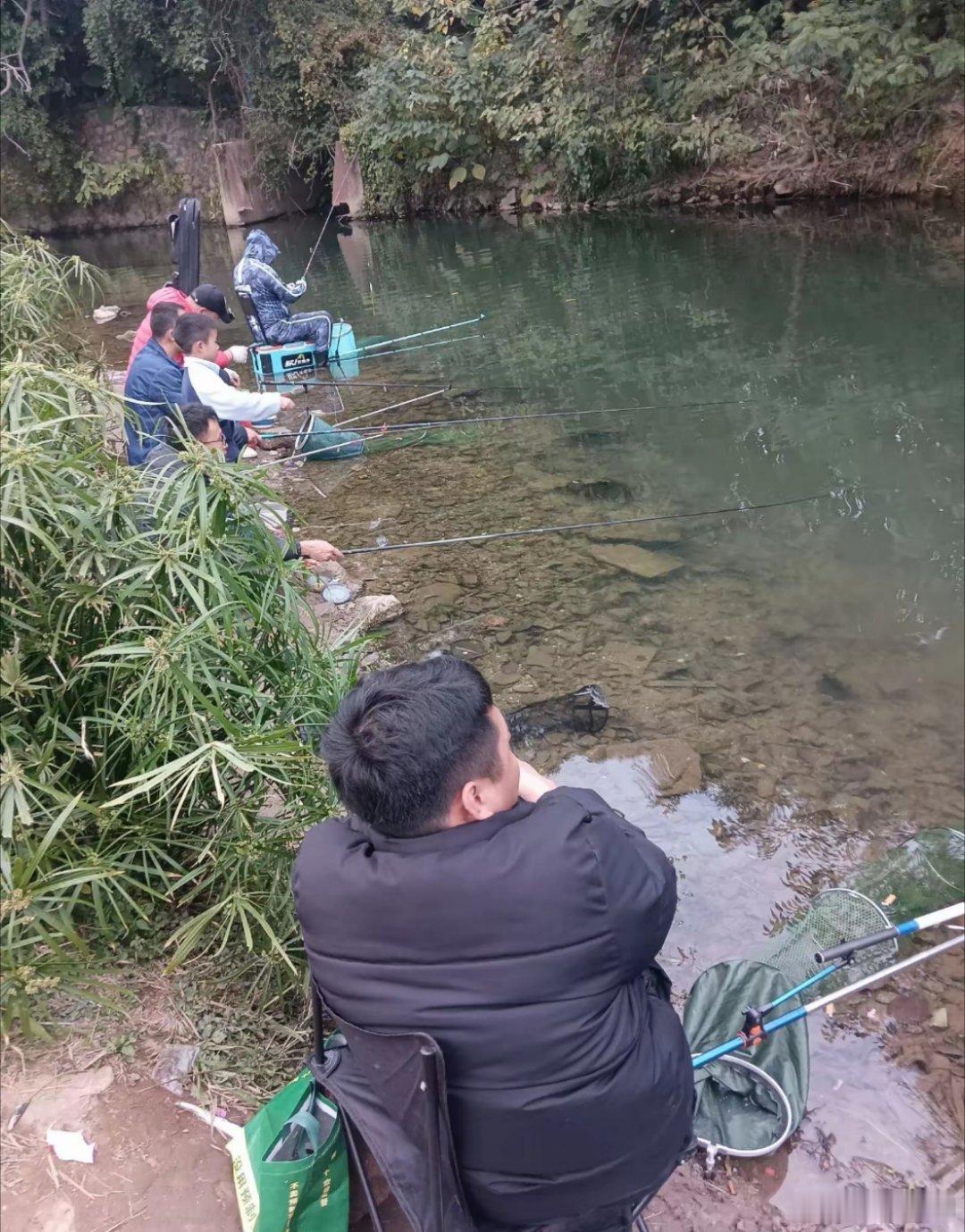 深圳东湖公园，里面钓鱼的人。来了就是深圳人！这就是深圳。[赞] 