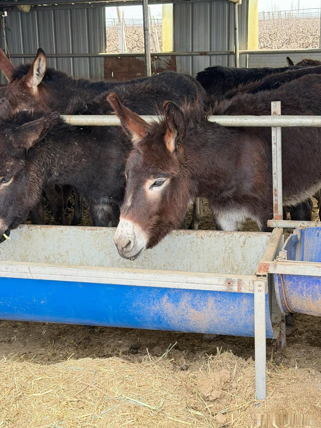 无奖竞猜这是什么？ 