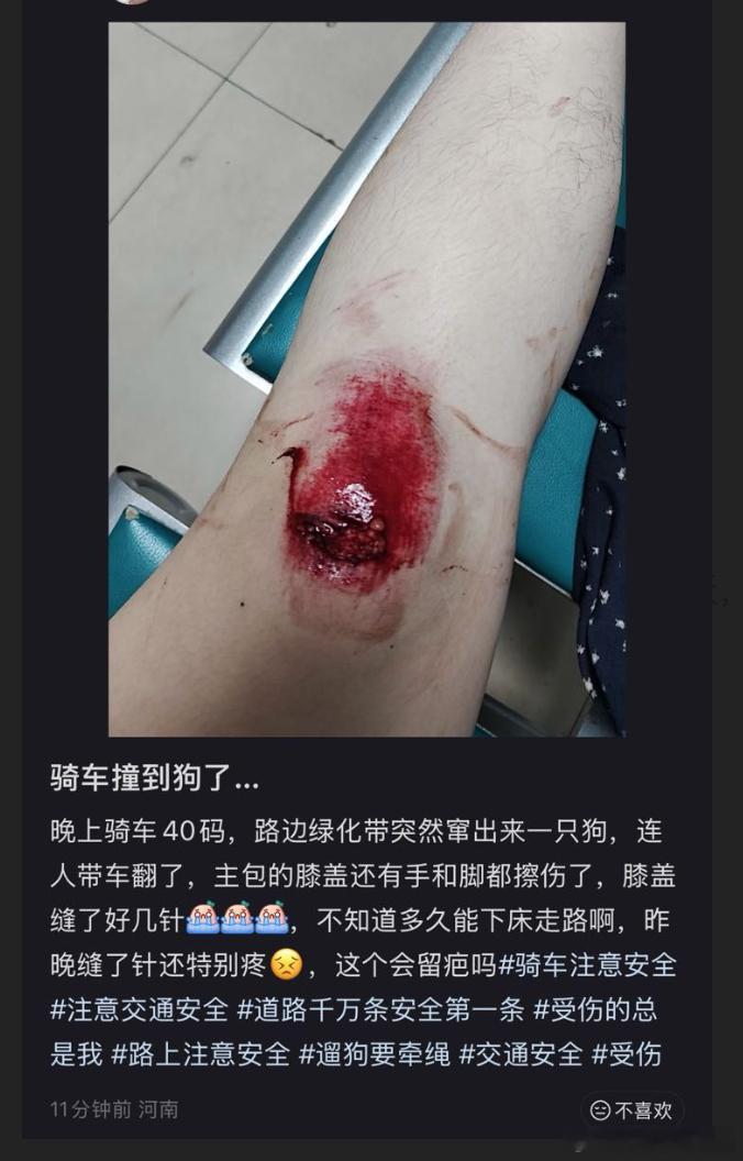 暖心投喂悉心照顾的流浪狗开启随机报恩了。 ​​​