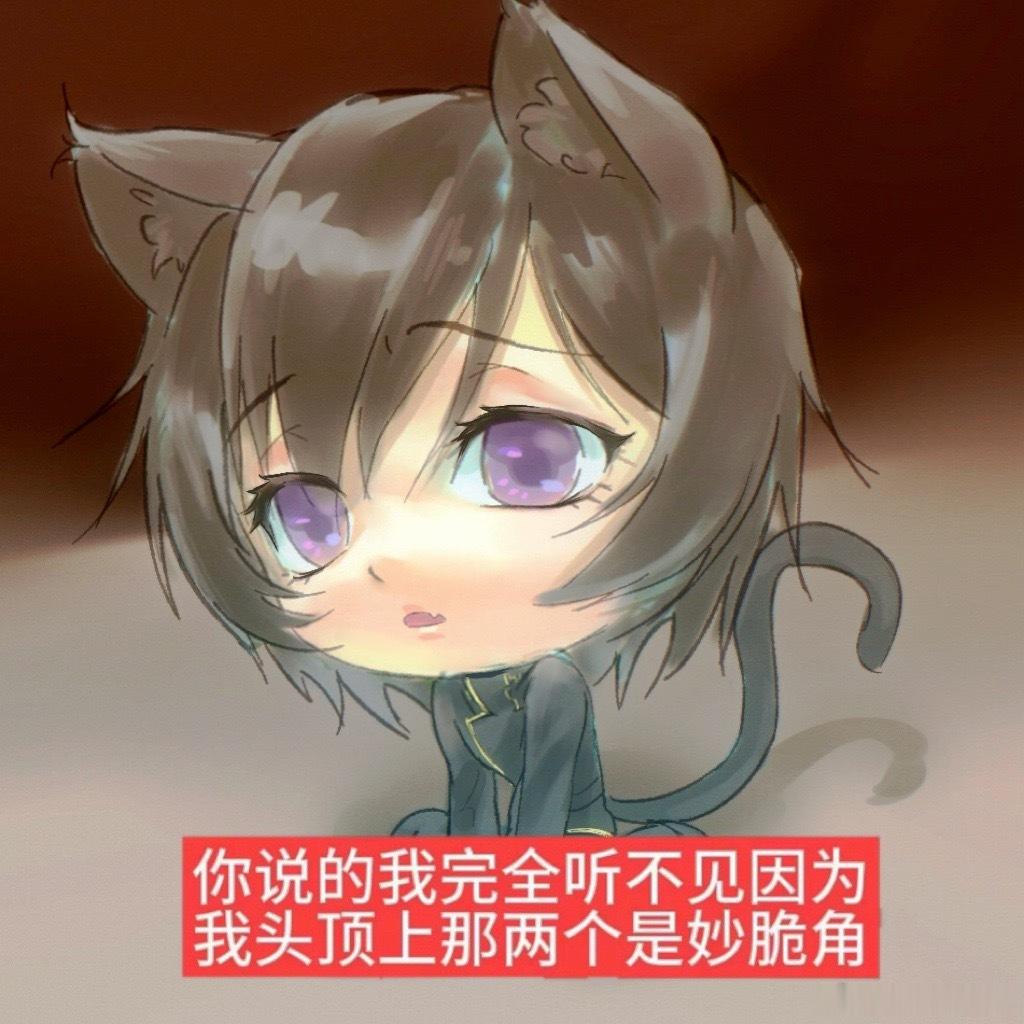 这是啥子猫吗 11476 