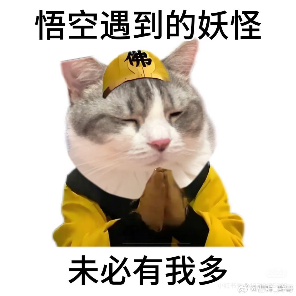 酒局献祭哎，可悲。然而更可悲的是：这其实是一个普遍职场现象，只不过程度轻重不同而
