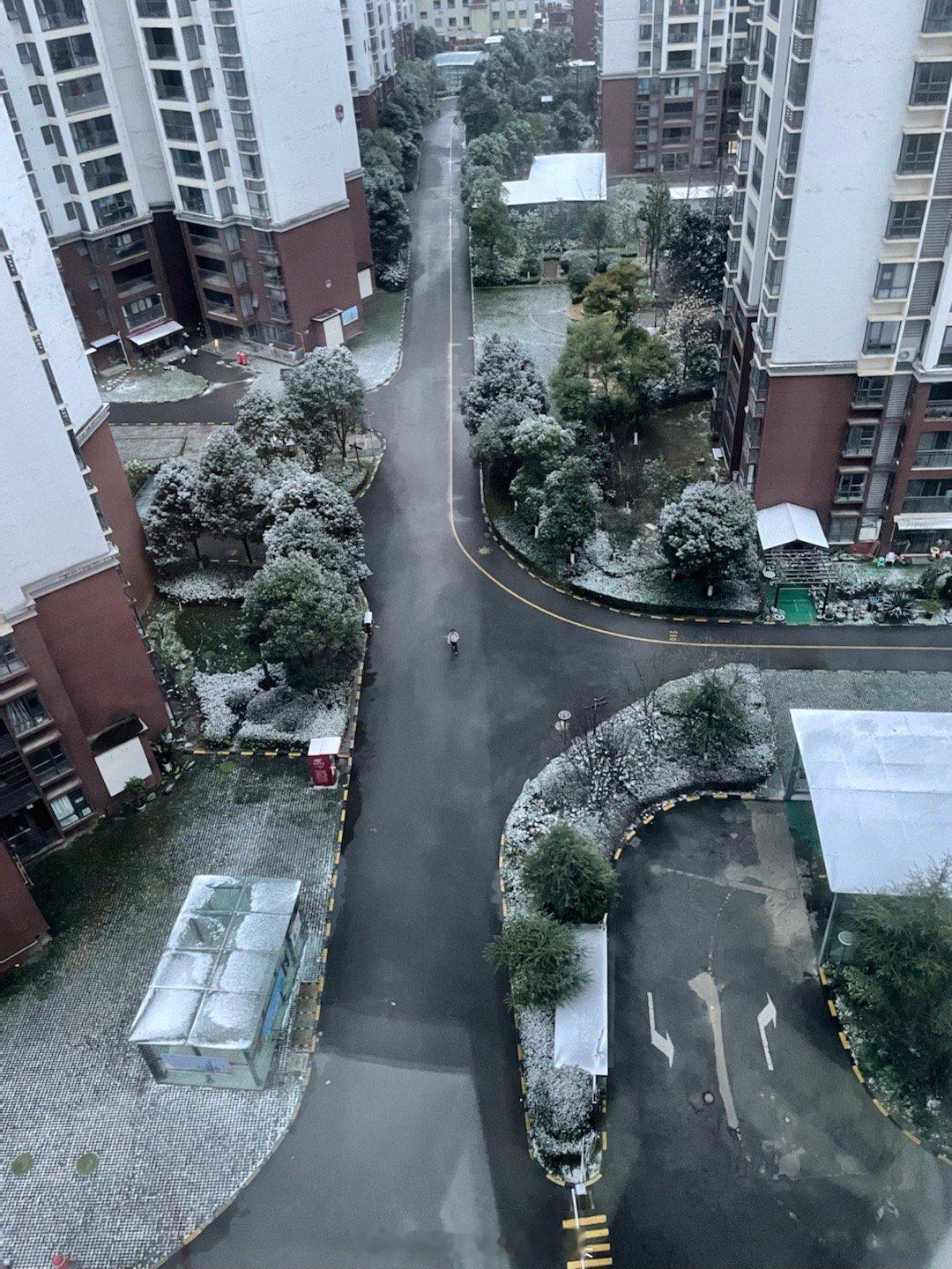 #萌宠那些事[超话]# “暴雪”！就这？与烤火小猫咪无瓜。 ​​​