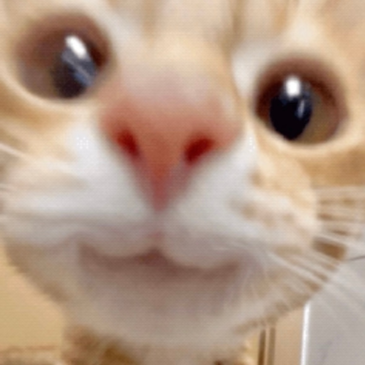 我看不出有什么区别 