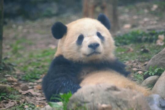 【宝元】📺：我将起诉你，你这个可恶的人