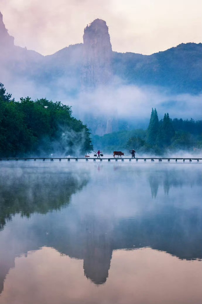 浙江·丽水，左手梯田，右手云海，徜徉在山水长廊之中，感受无数文人墨客笔下的幽幽画