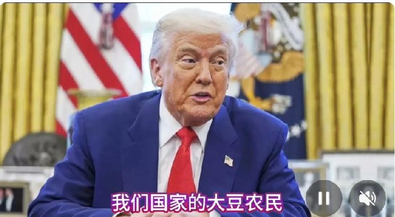 玩脱了！美国的大豆问题本来不应该成为一个问题，但是由于特朗普不但没有重视消费者，