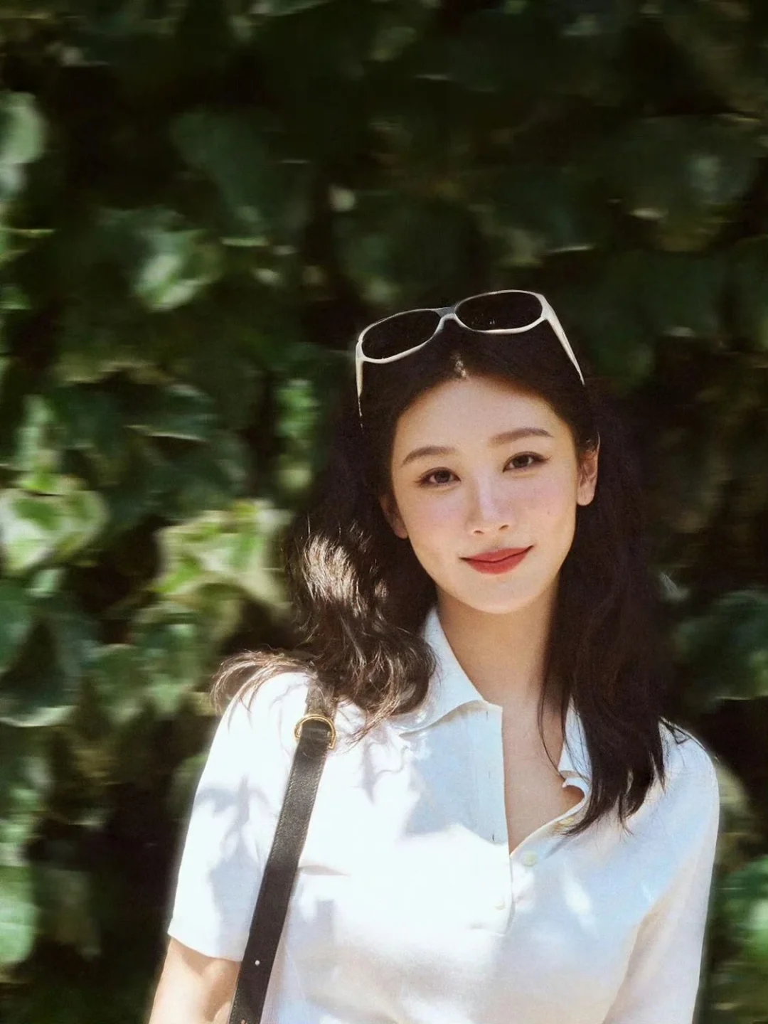 杨紫杨紫玉兰花开君再来 杨紫董竹君 早安呀 