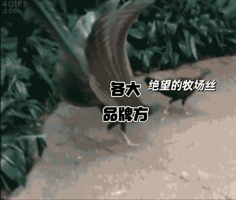 好绝望 ​​​