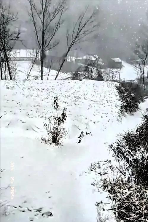 分享你手机里的美景 分享你手机里随手拍下的美景。
分享一下你手机里的美景呀，美景