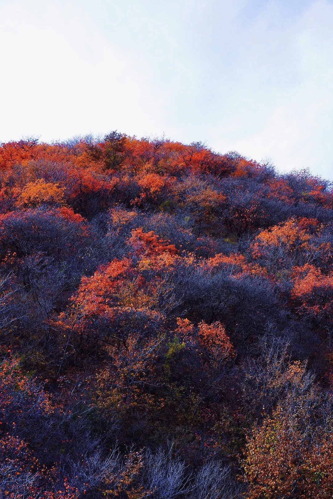 家人们，快来看这绝美秋色呀🍂🍂❗