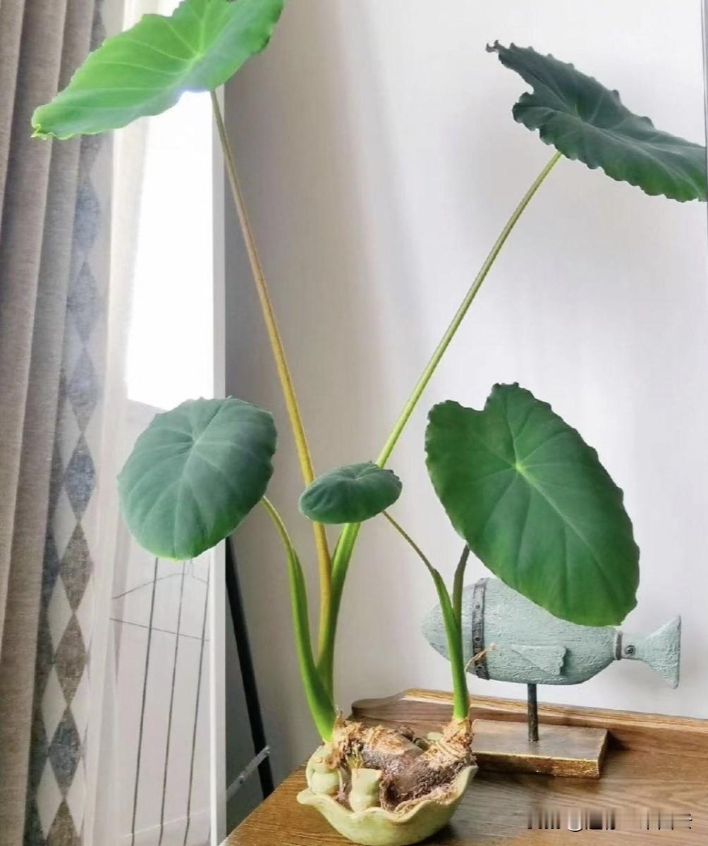 山穷处，风未停，
云深时，天自明。

前路忽逢花满径，
人生本就柳暗又新晴。