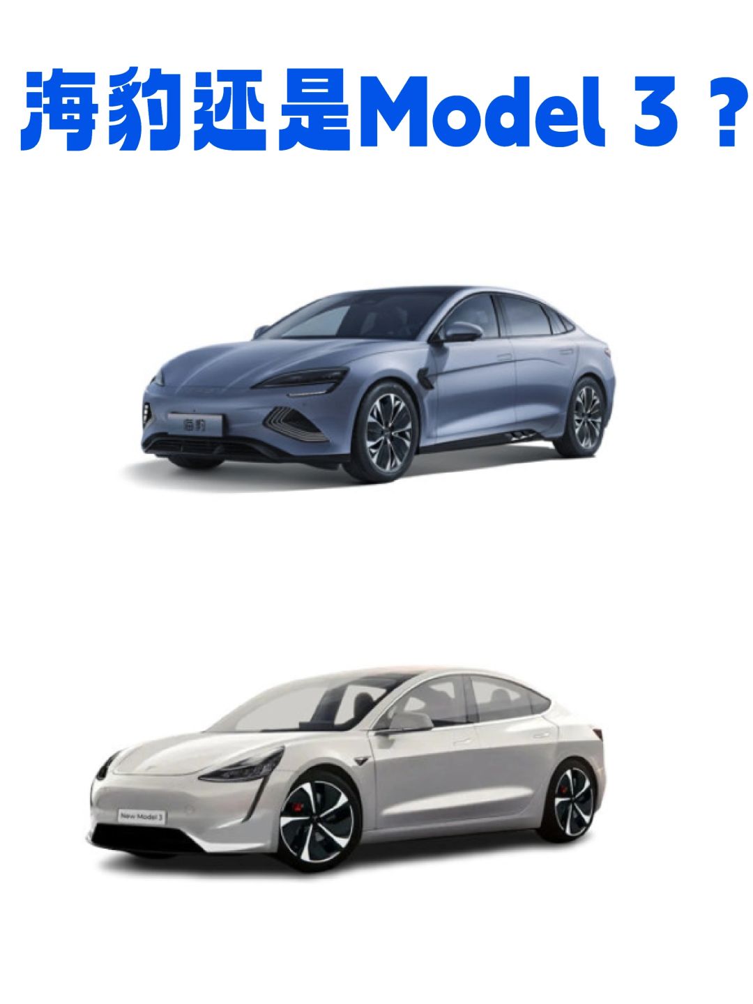 20W，选海豹还是Model 3？