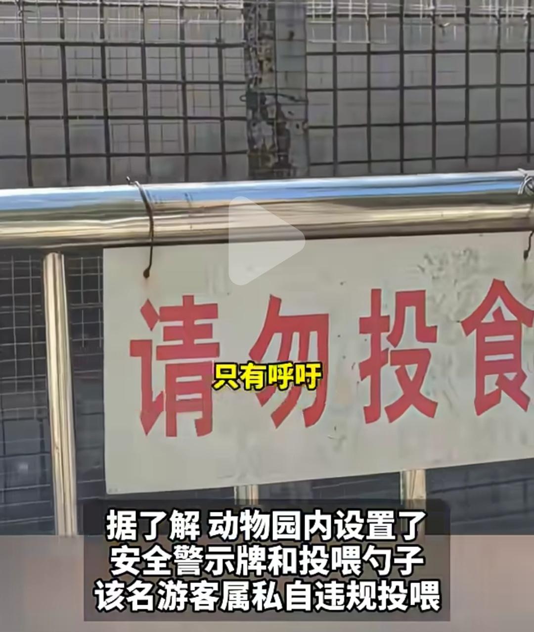 贵州一男子违规喂猴子被抓伤，向动物园索要赔偿。园方表示，这么大的“请勿投食”四个