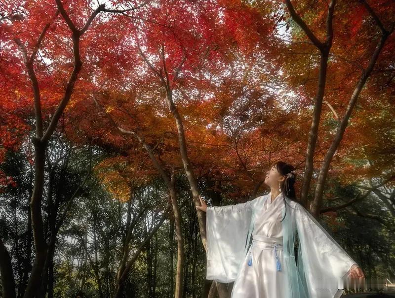 刷到这话题时，我脑中第一下就浮出“醉卧枫林秋不管，醒来明月满衣襟”，可不就是我近