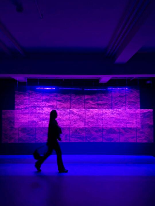 魔都看展｜艺术中心首展🔵非遗蜀绣光影太美