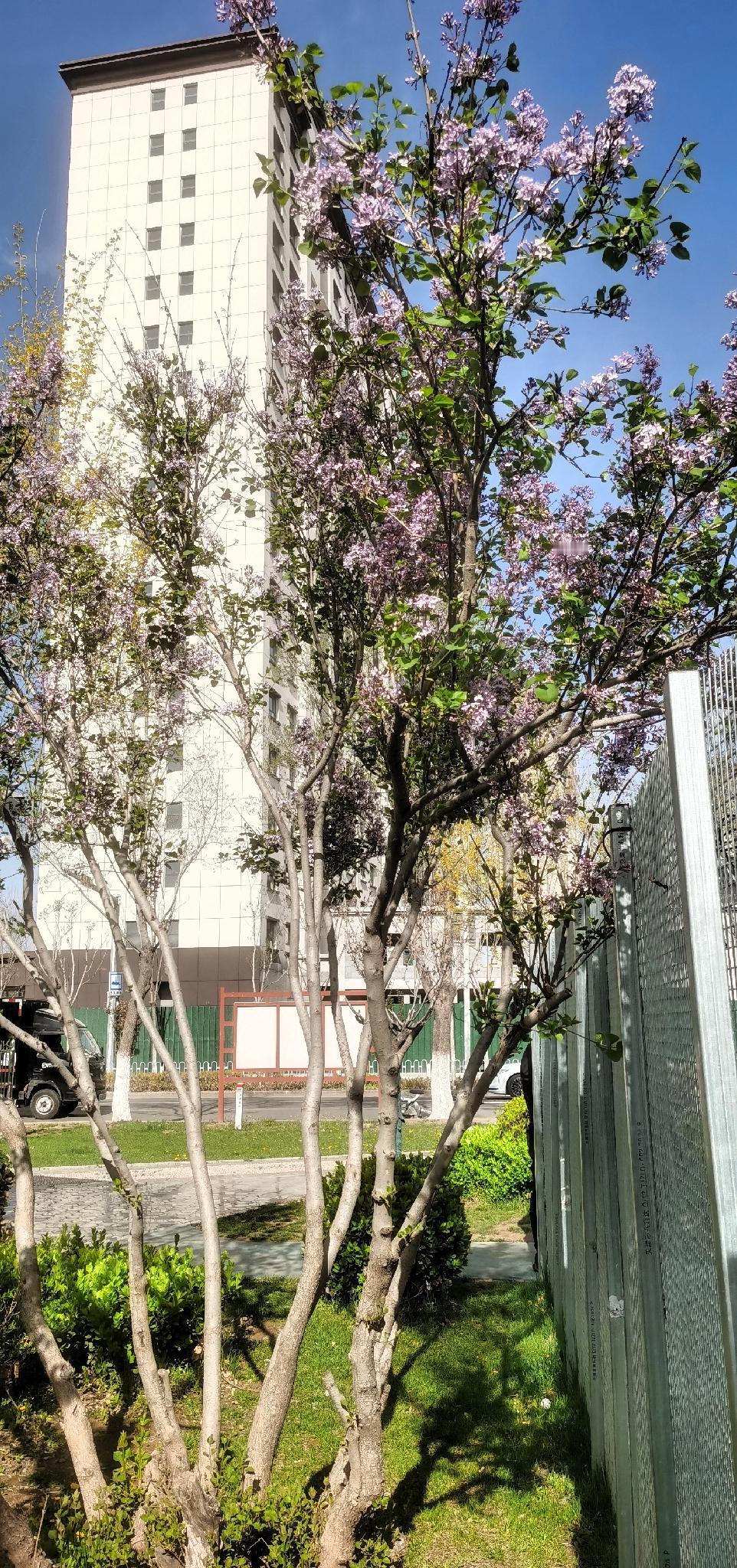 你心里藏着啥春日小目标？快来唠唠～