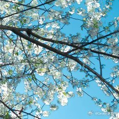阳光信用每日一善海水退去留贝壳，涨潮时又悄悄收回。生活总在给与和拿走间循环，后来