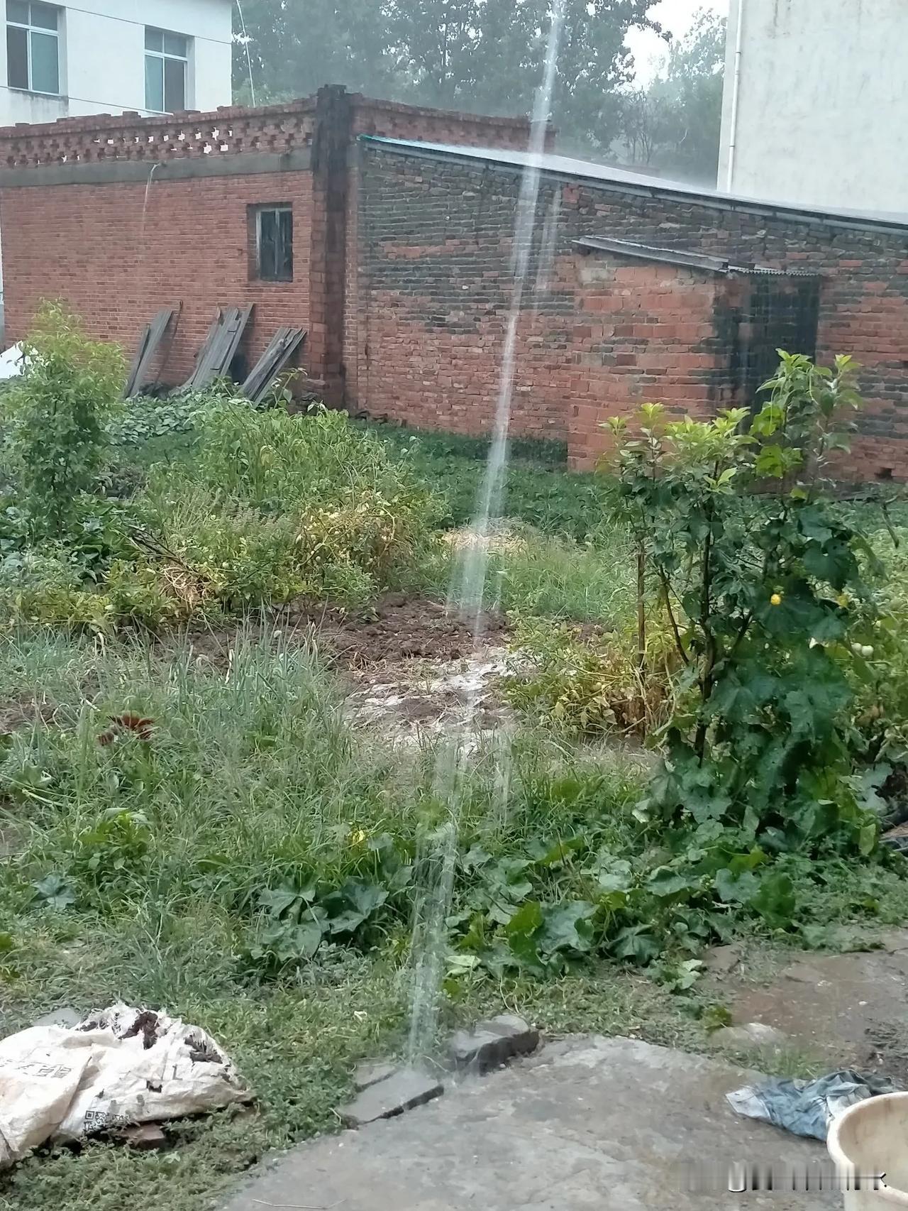 豫西南终于下雨了，下午三点多钟开始下雨，是大雨级别的，四点多钟开始变为小雨，遗憾
