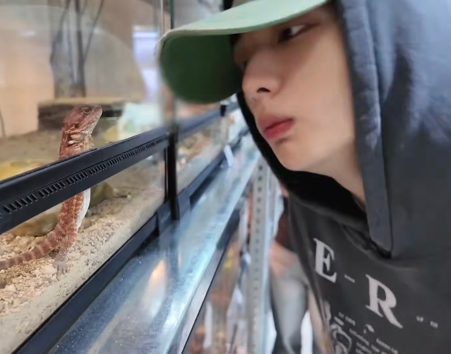 ……不行了咋萌成这样 豆豆眼对视中 