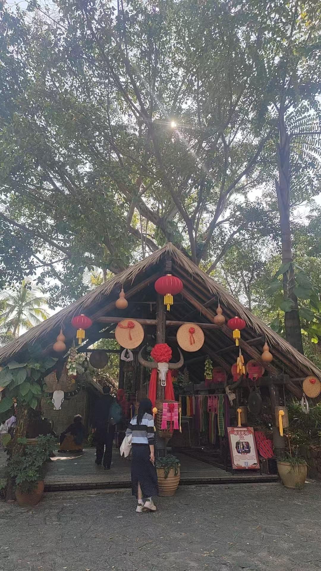 春日生活打卡季