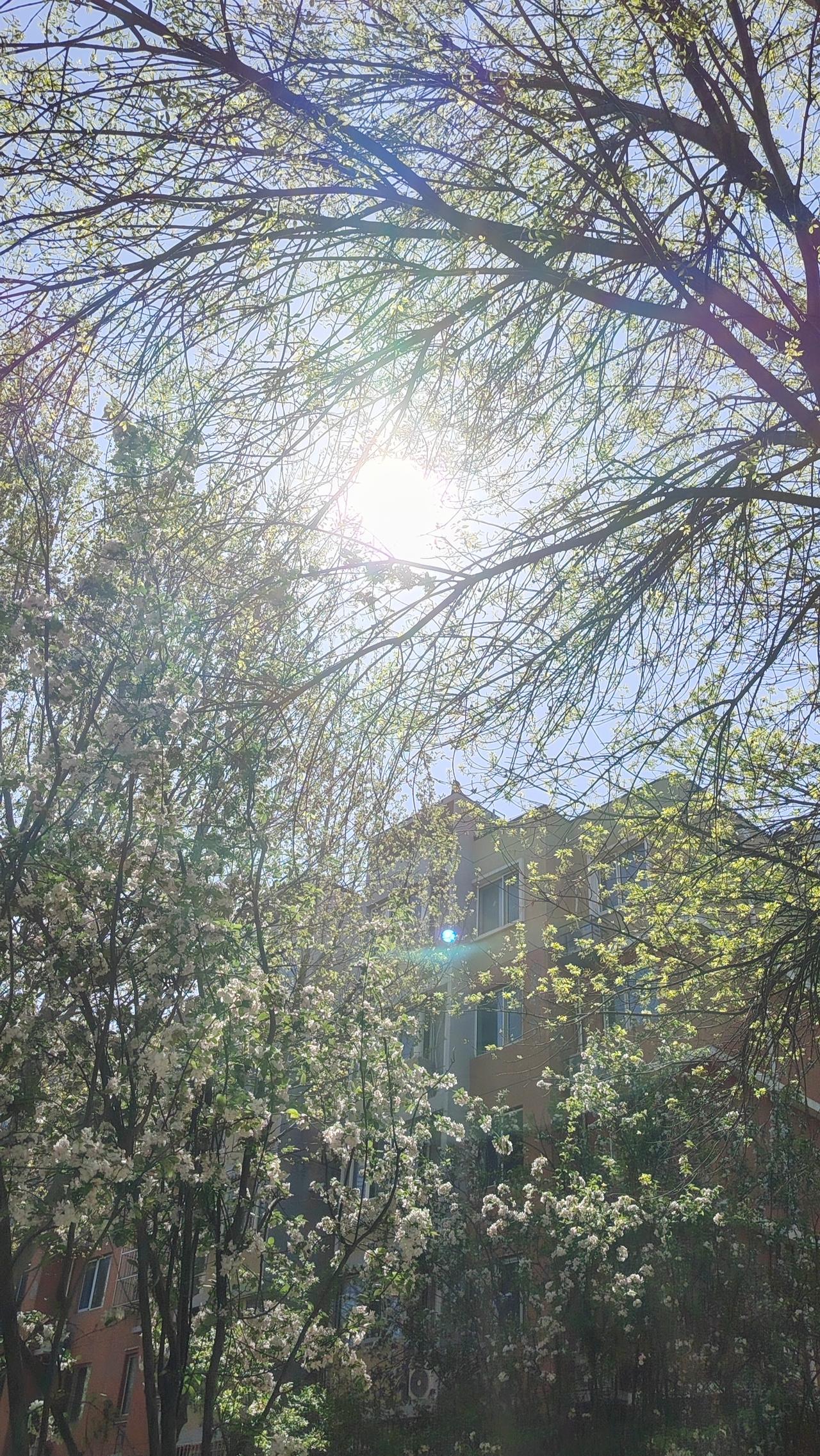 共勉警句：世界上只有一种真正的英雄主义，那就是在认清生活的真相后依然热爱生活。