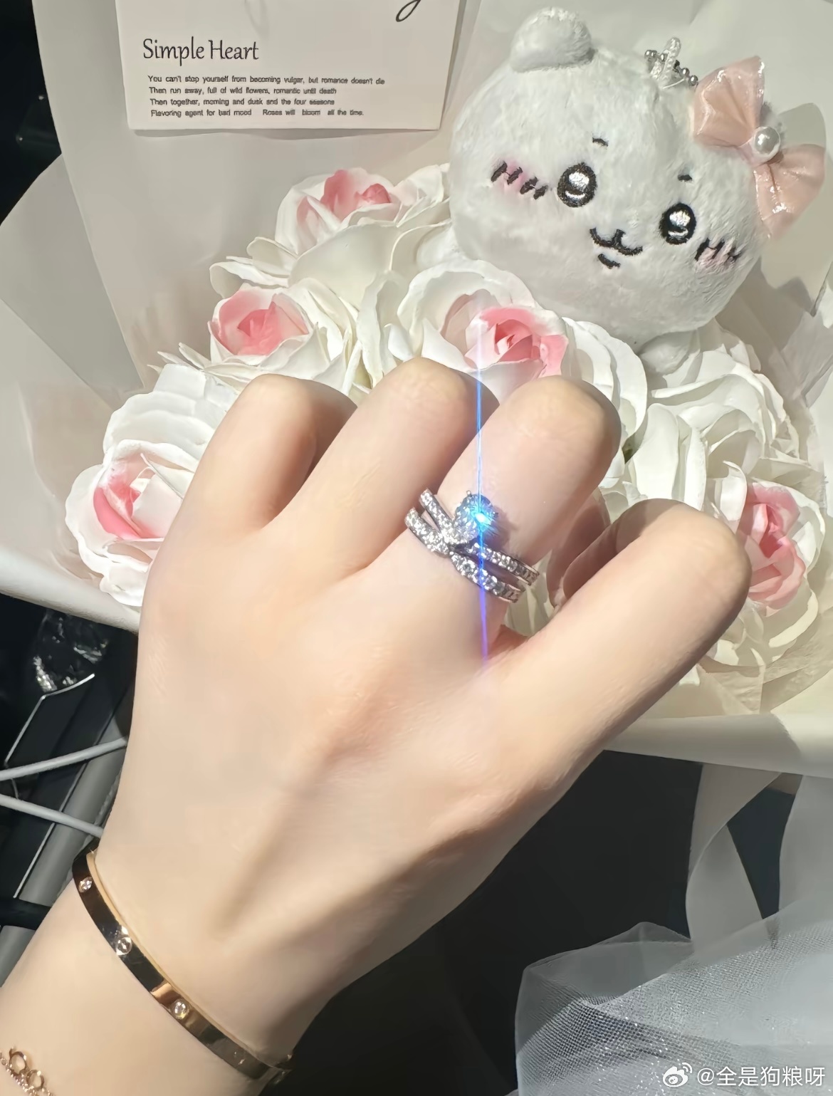 他知道我喜欢乌萨奇，所以它布满了乌萨奇向我求婚。 