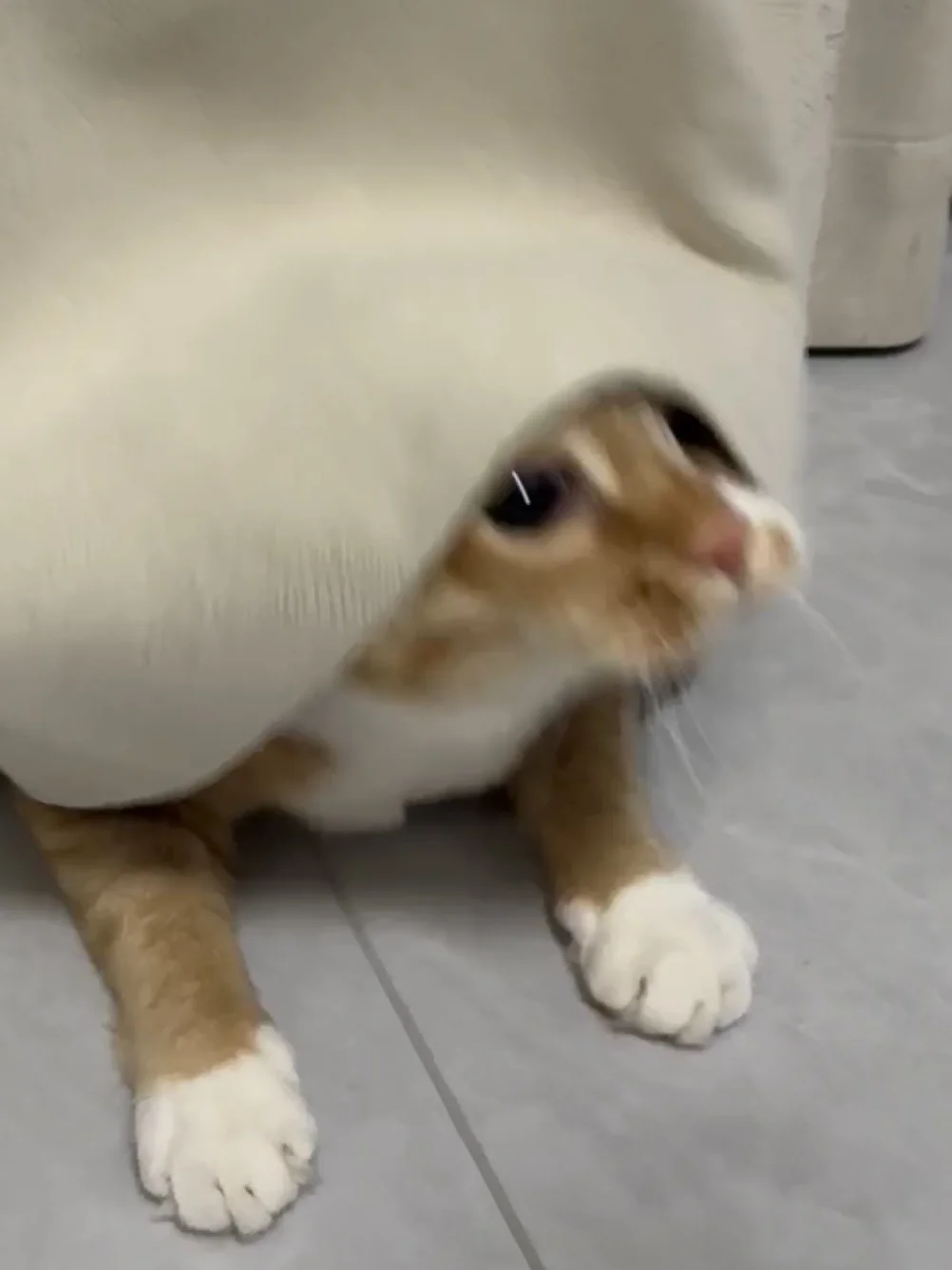 这就是live图的意义吧！