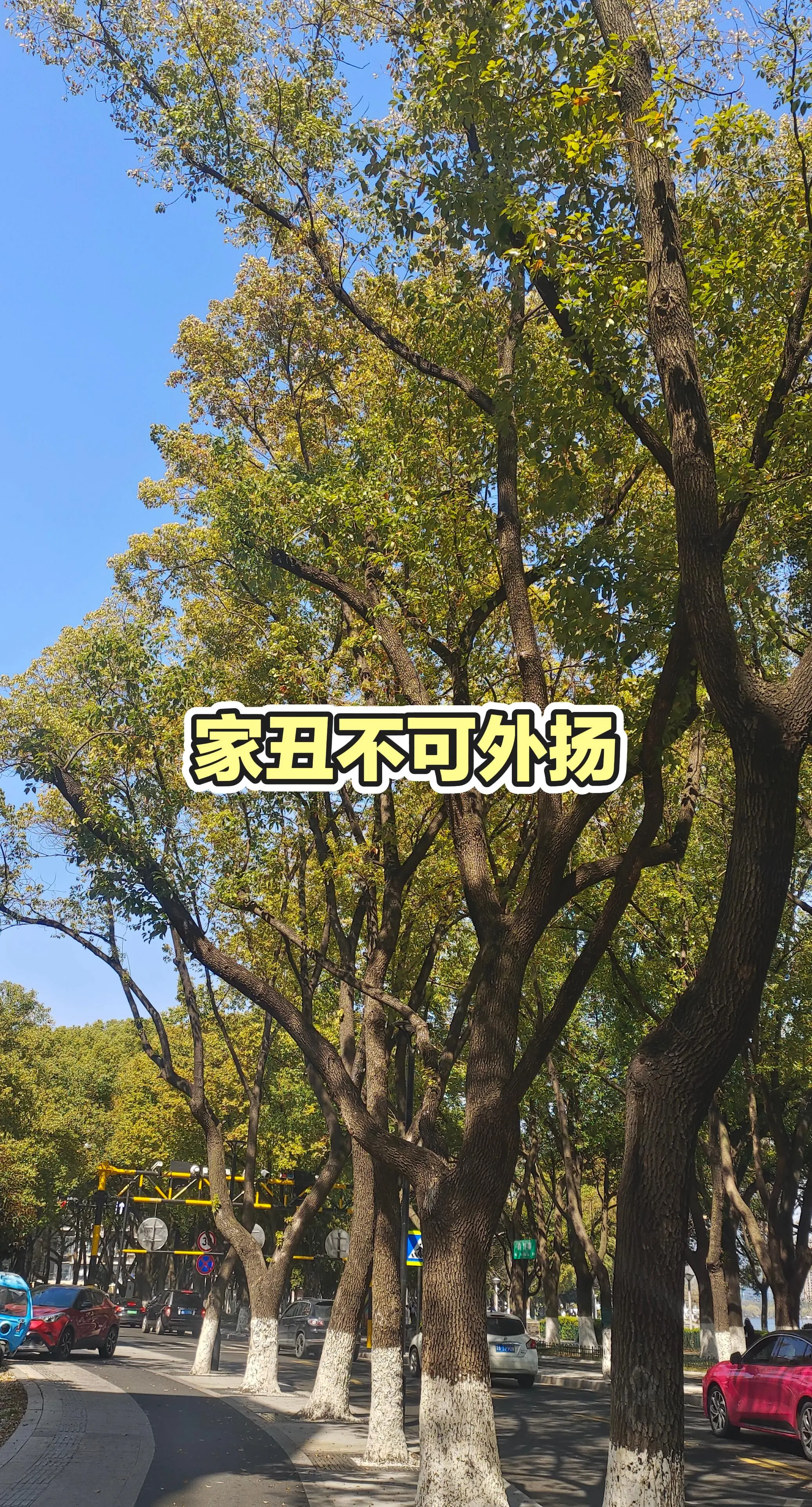 分享有趣视频