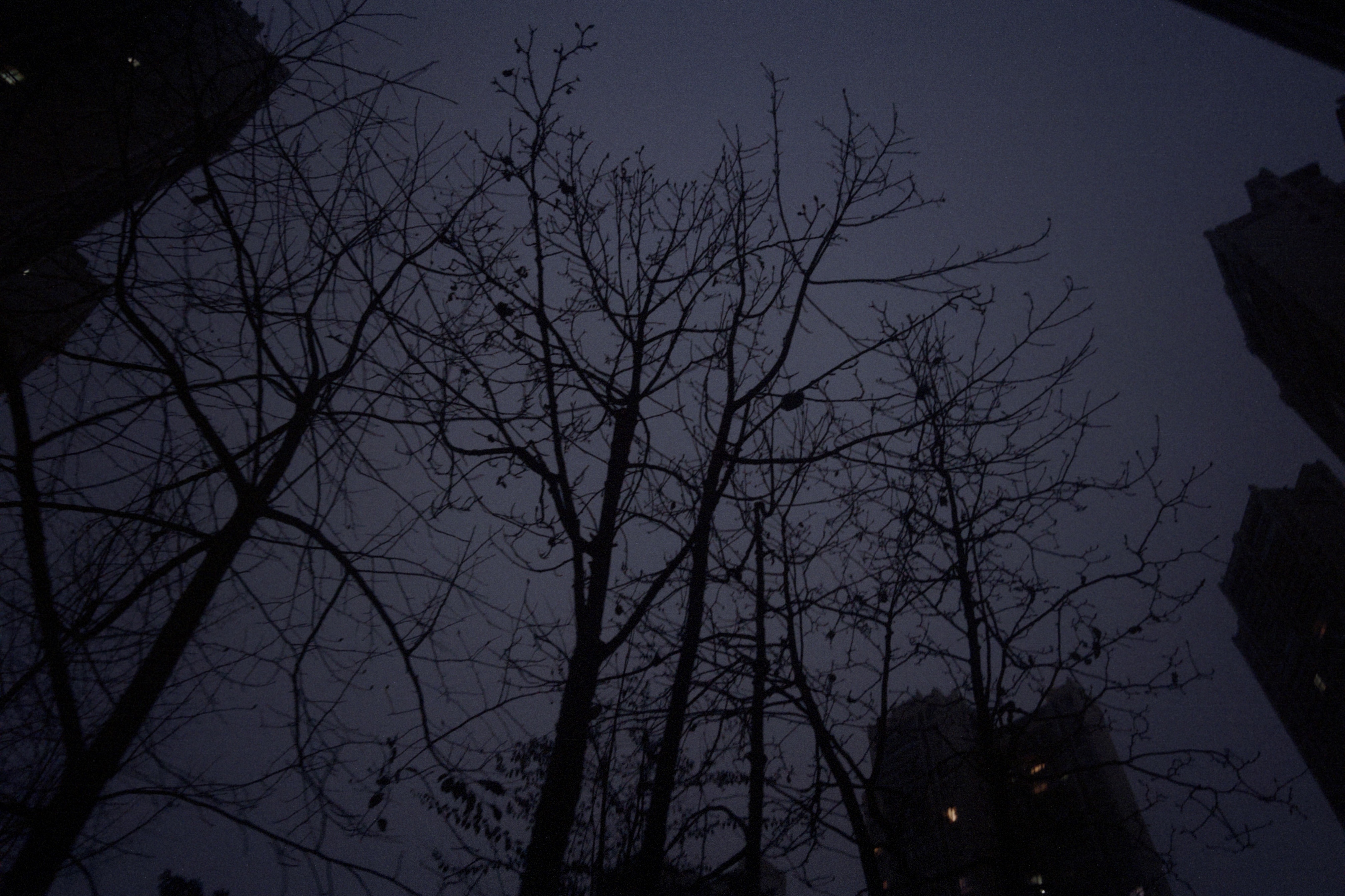 每天早起打卡天还未亮学也要上今日份早八人已上线此时应该唱告五人～《披星戴月的想你