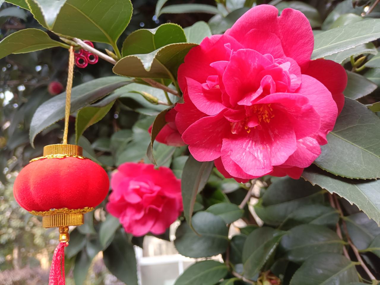 你认为两岸统一的最佳路径是什么