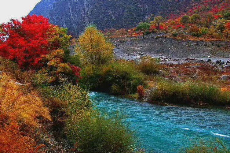 神奇的九寨：一路碧水，一路瑶池，一路美景......  