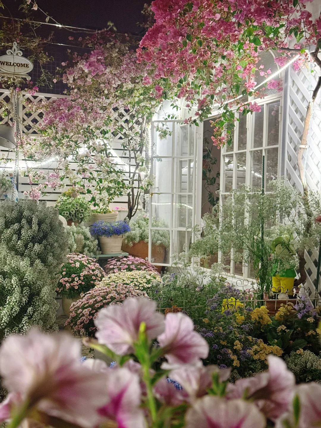 谁再说养花难，我就把这张图甩他脸上！