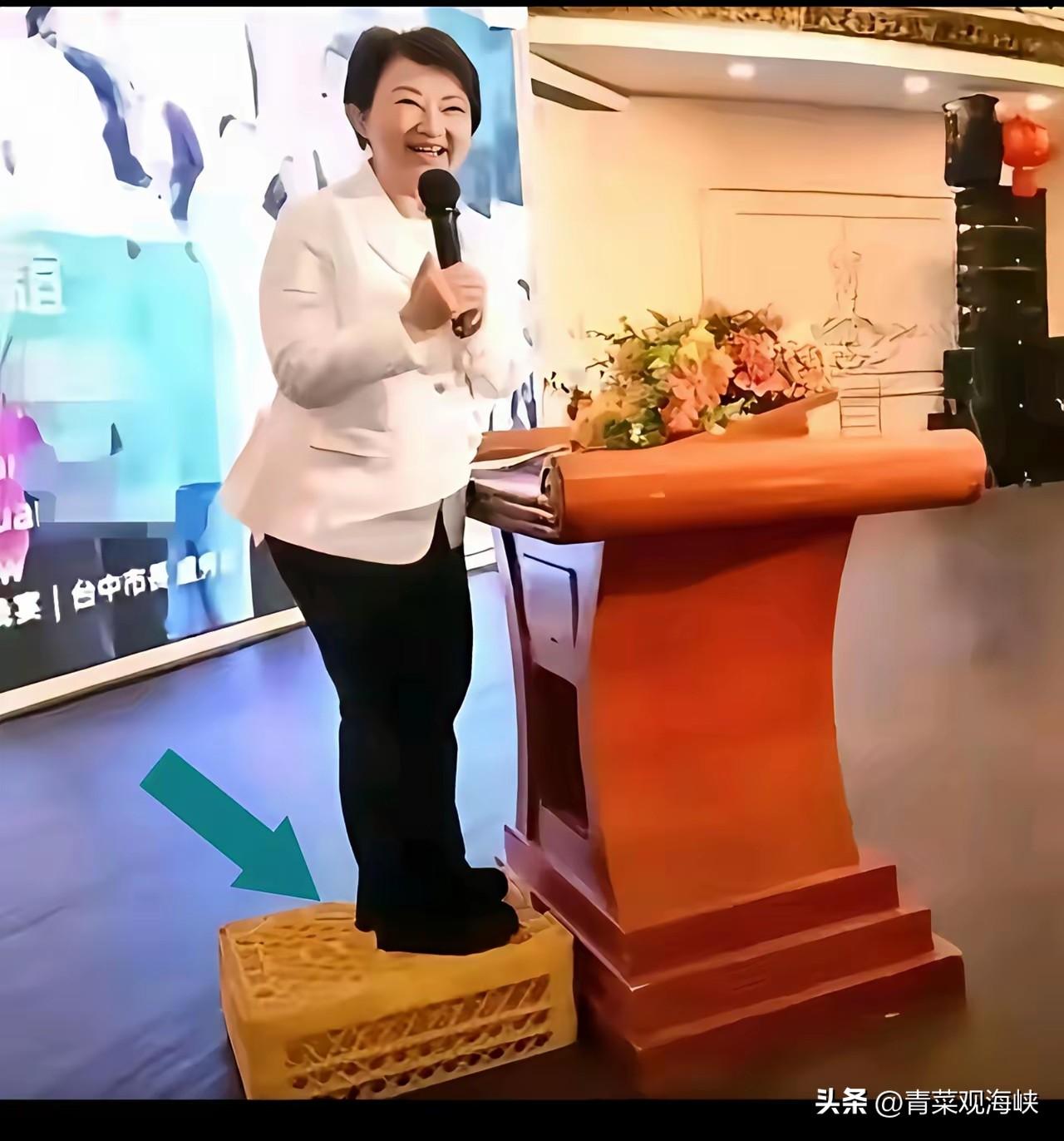 卢秀燕访美归来，风向就变了！国民党内“共主”之争正式开打

卢秀燕11天美国行刚