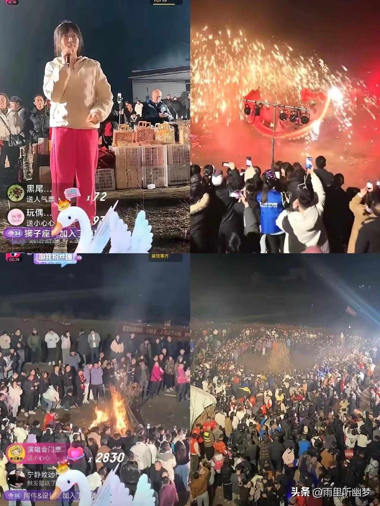 万万想不到的呆呆！
这哪是“喊人按猪”？这是呆呆随手丢了个钩子，直接钓上来一座金