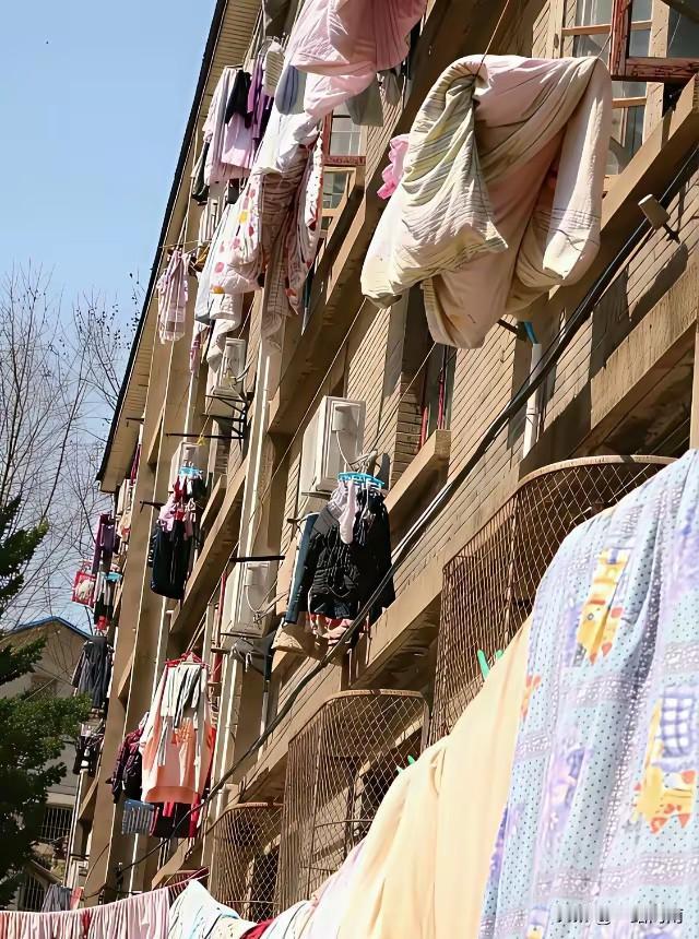 为啥老旧小区一到好天气就很多被子拿到外面晒？而一般比较贵的小区或别墅区都看不到被