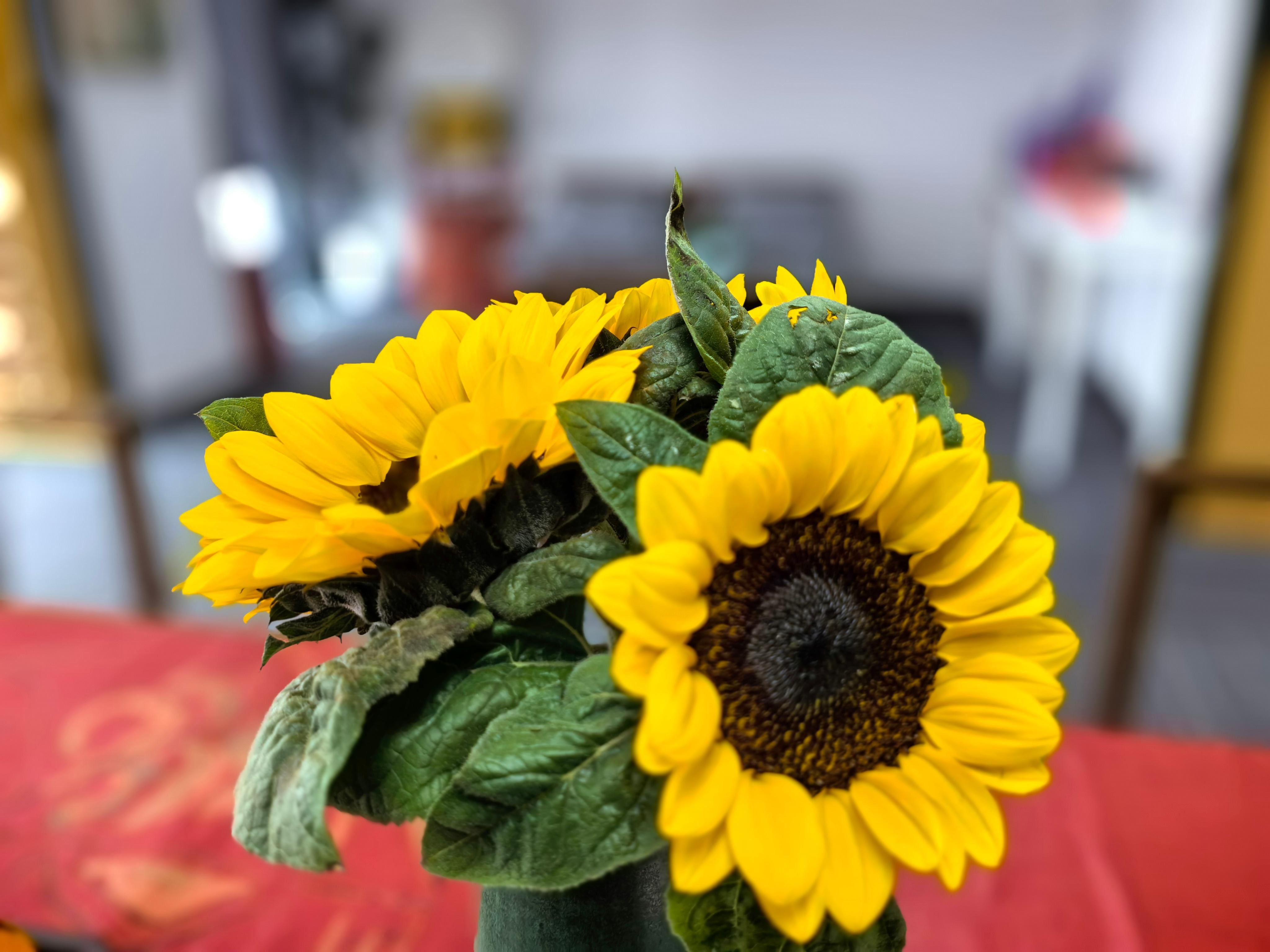 习惯培养以终为始！(一)经常会遇到有人问我，怎么能让自己的命运变得更好。我每次都