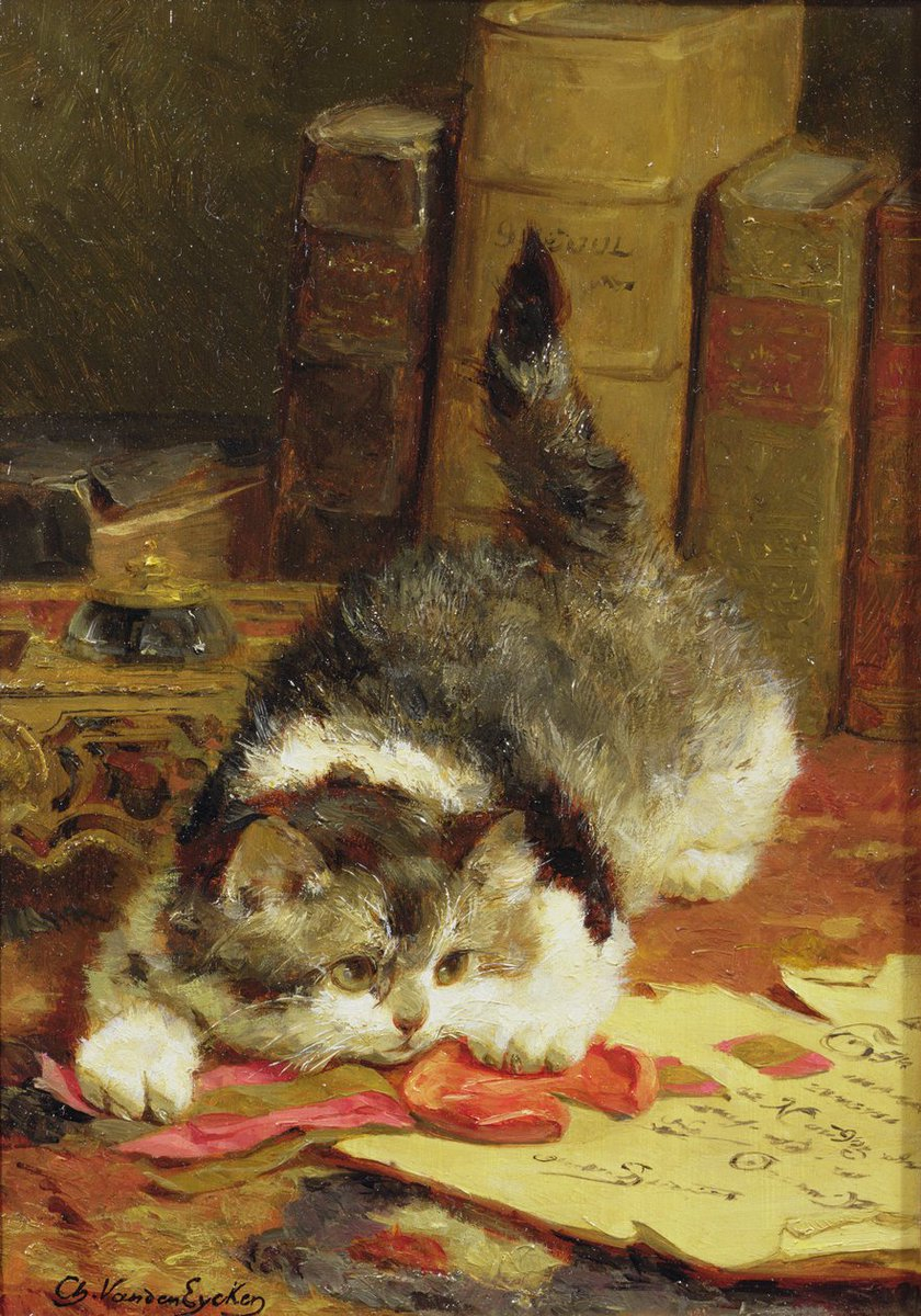 小猫Charles van den Eycken 