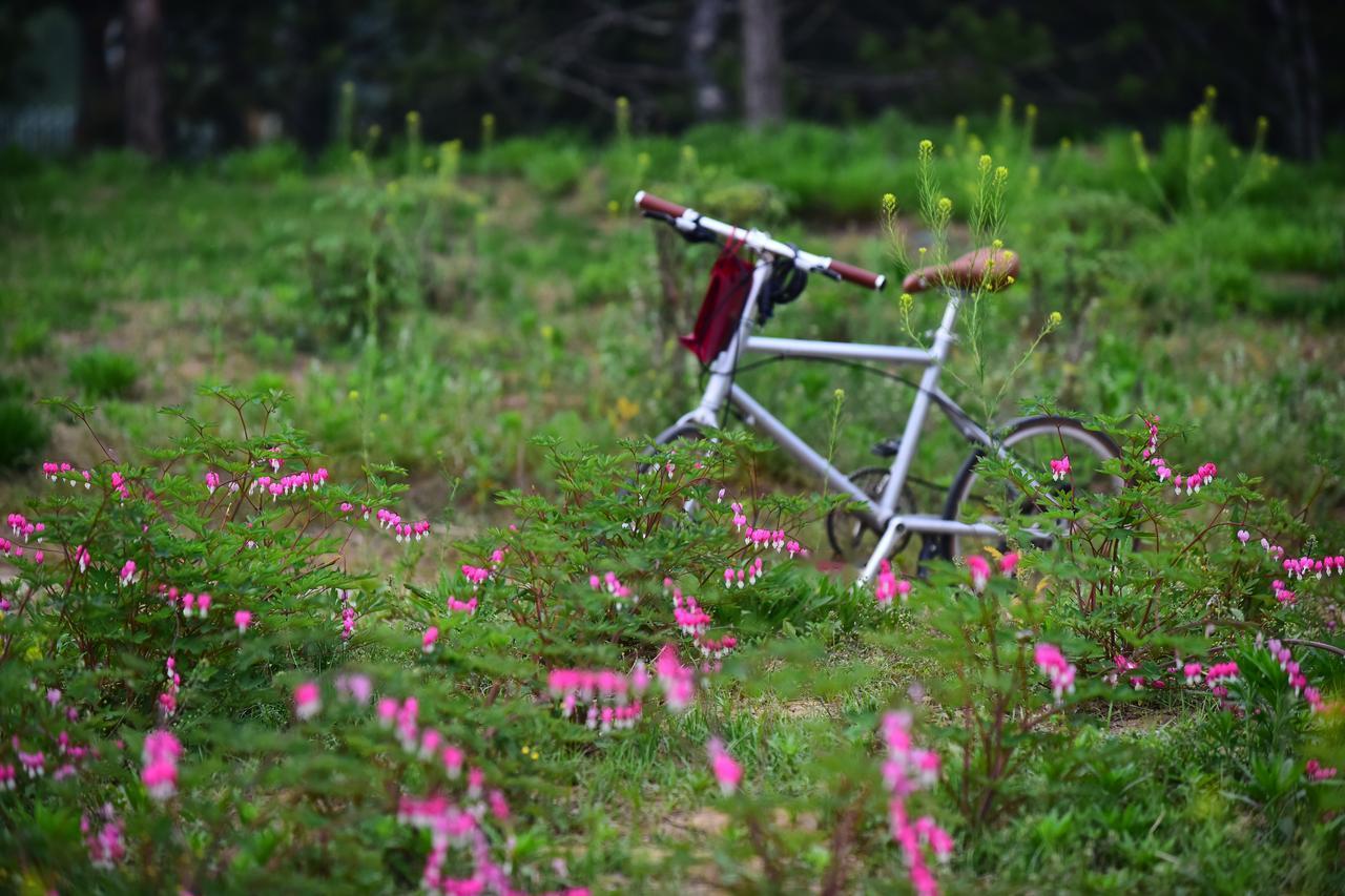 ​最稳妥的办法是去线下门店试骑，店员会帮你调整坐垫和车把高度，找到最适合你的车。