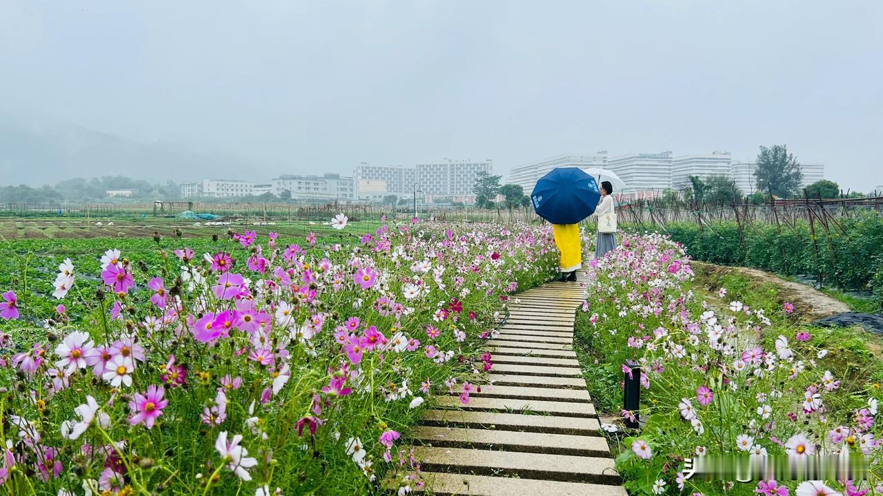 岁岁风调雨顺，请赐下联
月月春暖花开 或者

季季国泰民安

或者是日日笑逐言开