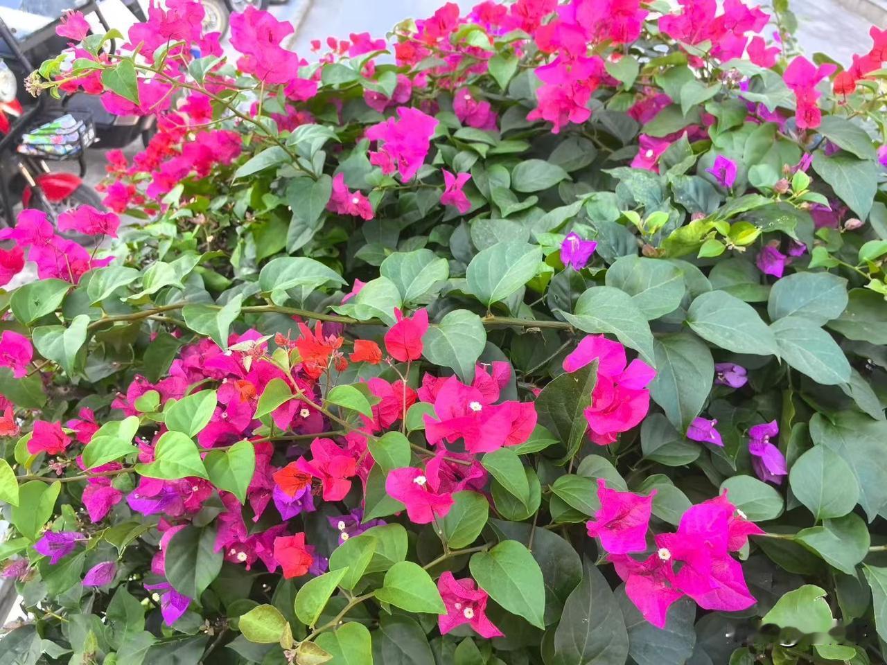 在家里，咱们要照顾父母，养育孩子；在单位要干工作，各种事务缠身。关爱自己就非常有