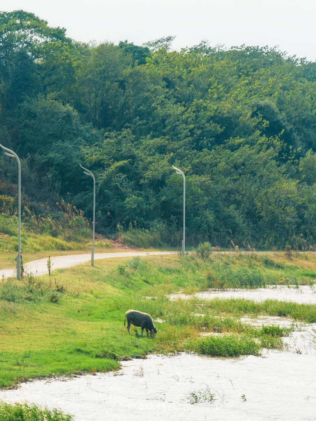 武汉无人景美“看海”露营自驾游路线太绝了❗️