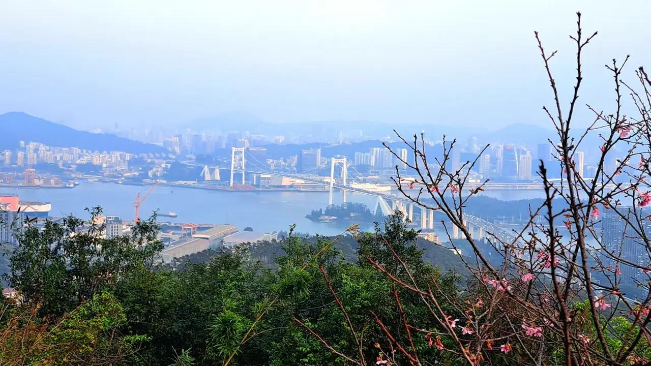 彻底破防！铁杆绿营走完闽东南：二线城市发展已经超过台北！
        一名原