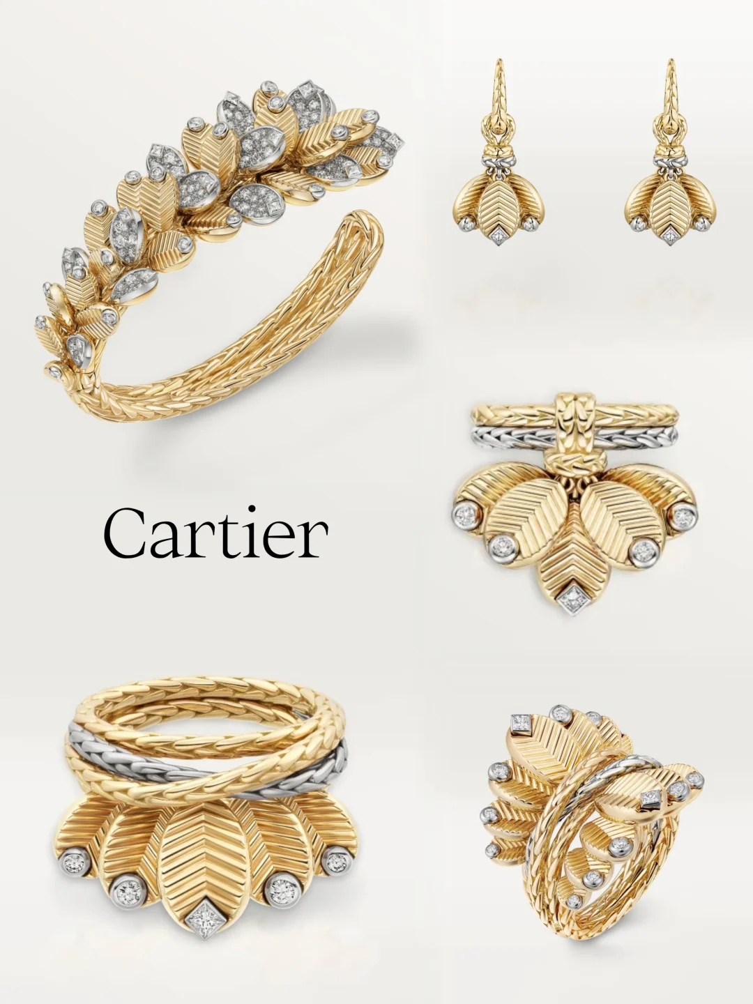 Cartier｜一眼沦陷的法式浪漫