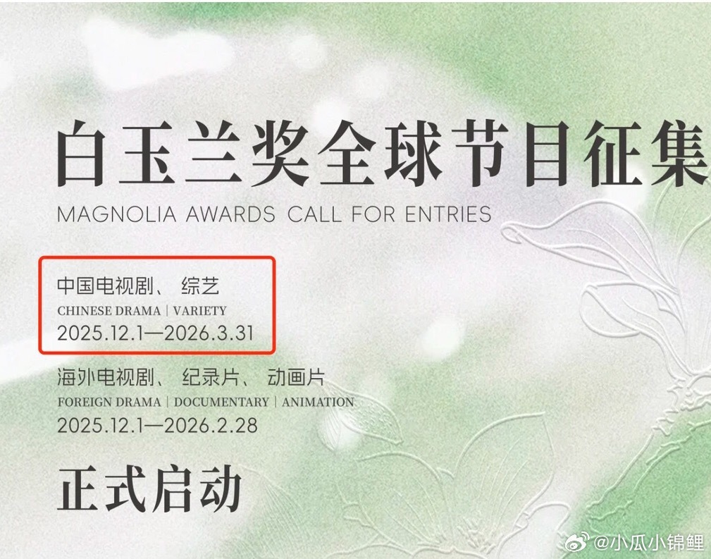 白玉兰启动 你们期待哪部剧能得奖 